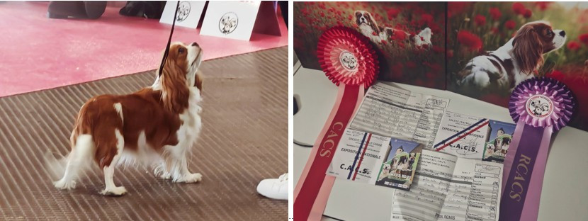 Super résultat en exposition